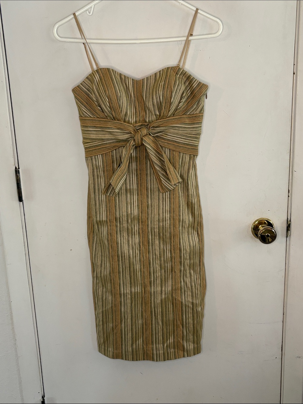 Lyndia by Lyndia Procanik beige brown striped empire waist dress front tie Sz 2